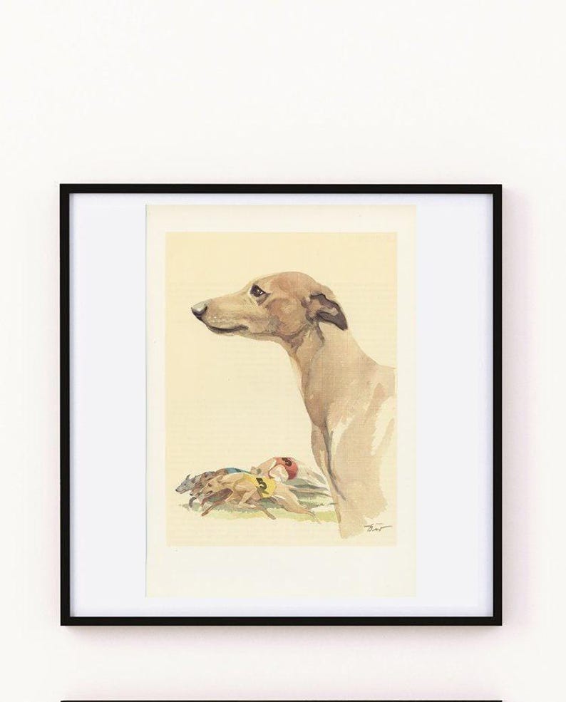 1975 Whippet dog print for vintage Dog home decor. Running dog art, gift for dog owner Racing Dog painting Small art imagen 4