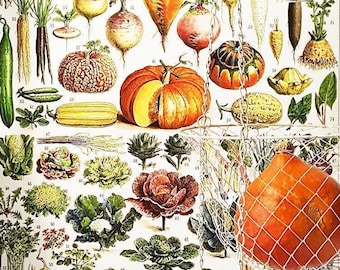 18x24" Vegetables chart, Large kitchen decor, 1936 Vintage kitchen wall art, Rustic kitchen decor, Veggie art poster Grannycore Cottagecore