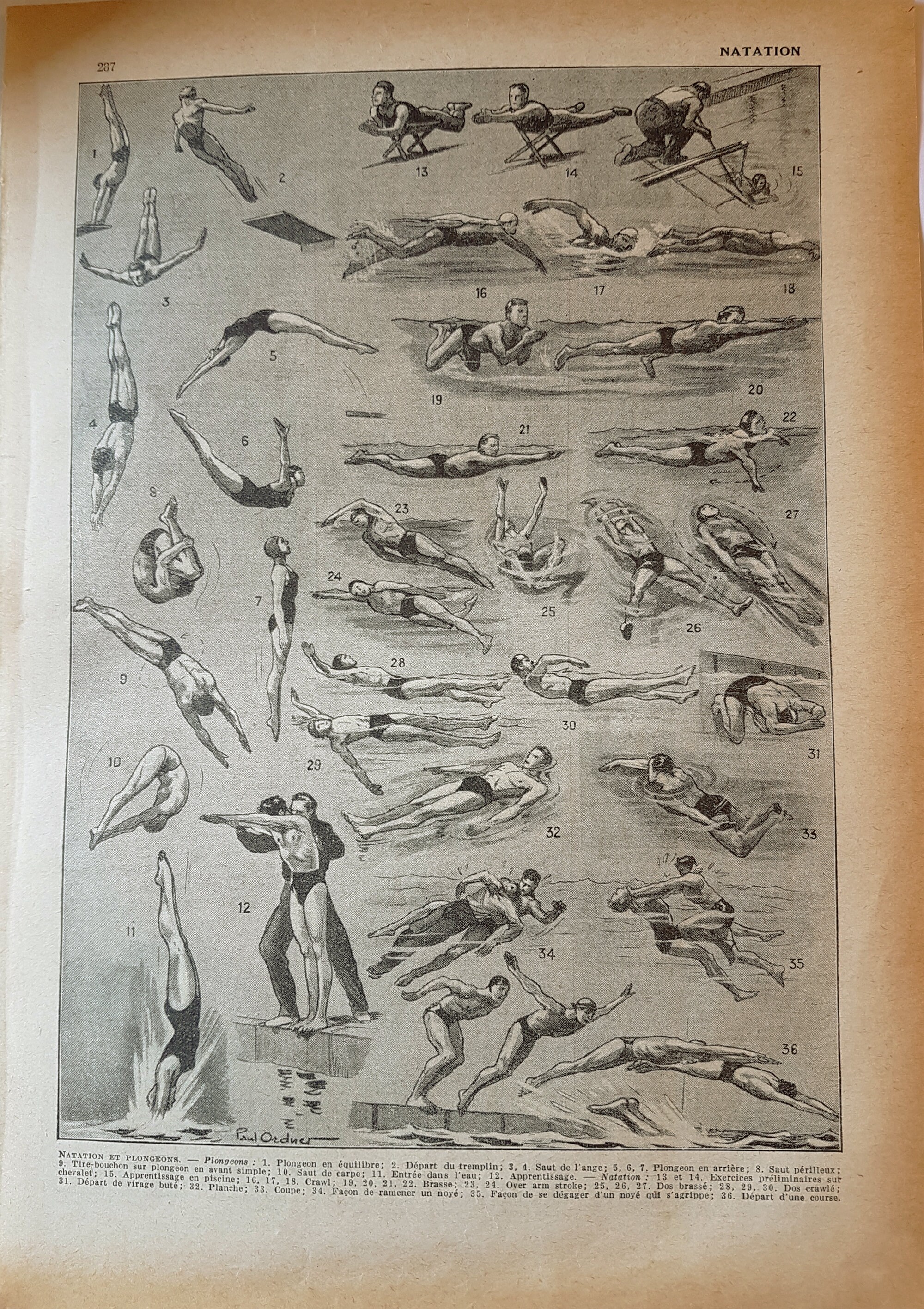 Swimming art 1948 Vintage swimming poster diving poster | Etsy