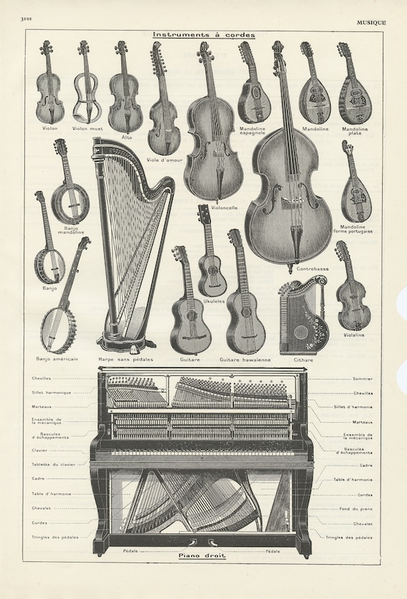 1890 Instruments de musique Original Antique Print Banjo, Harpe, Autoharpe,  Violon, Guitare, Mandoline Monté et Emmêlé Disponible Encadré -  France