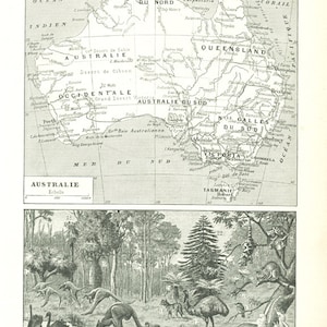 Australia print from 1923. Vintage small Australia map. kangaroo wall art. Australian wildlife Australian animals casoar ostrich