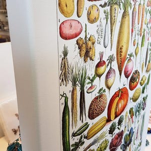 16x20" stretched Canvas vegetables botanical wall art print for kitchen decor for modern rustic farmhouse decor. Food Veggie gardener gift image 2