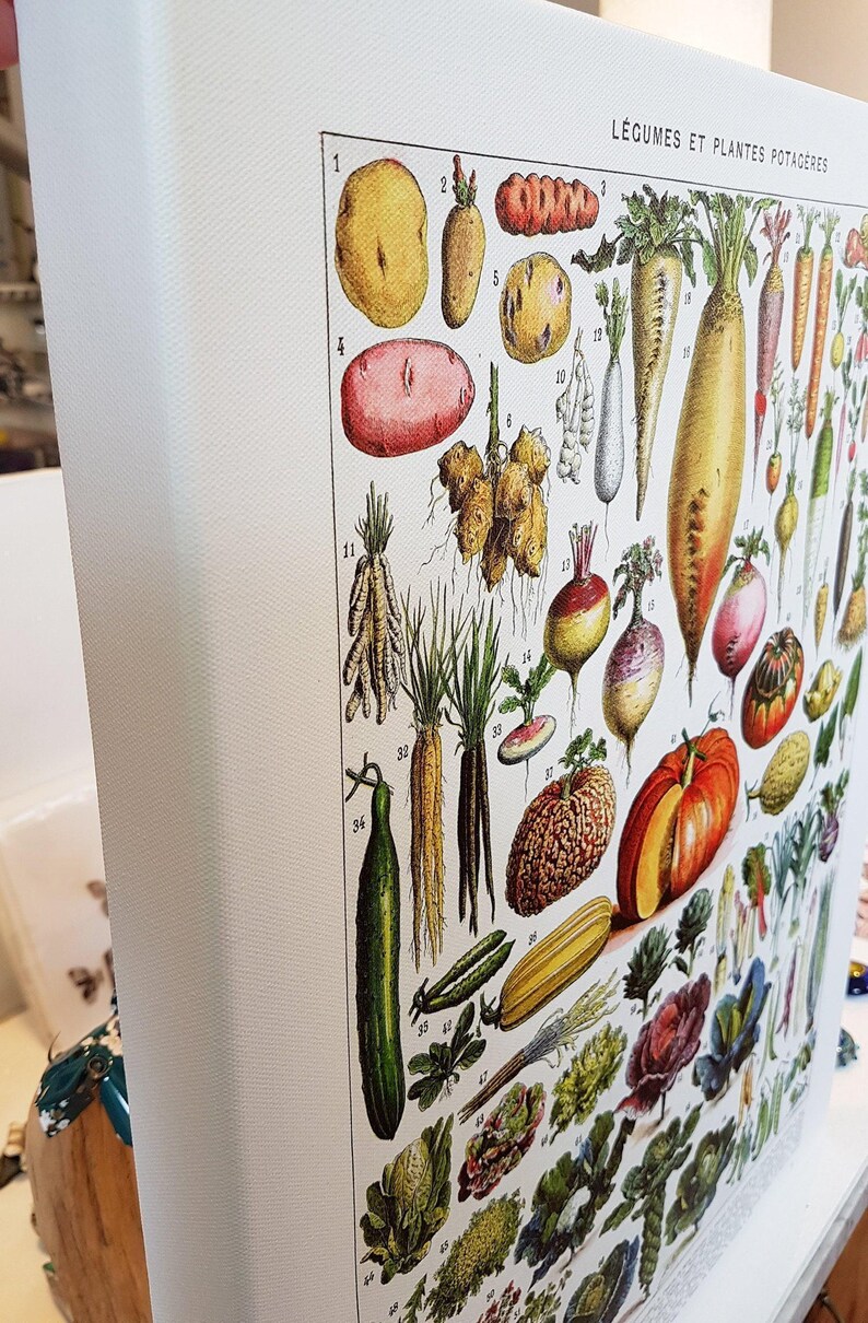 16x20" stretched Canvas vegetables botanical wall art print for kitchen decor for modern rustic farmhouse decor. Food Veggie gardener gift image 2