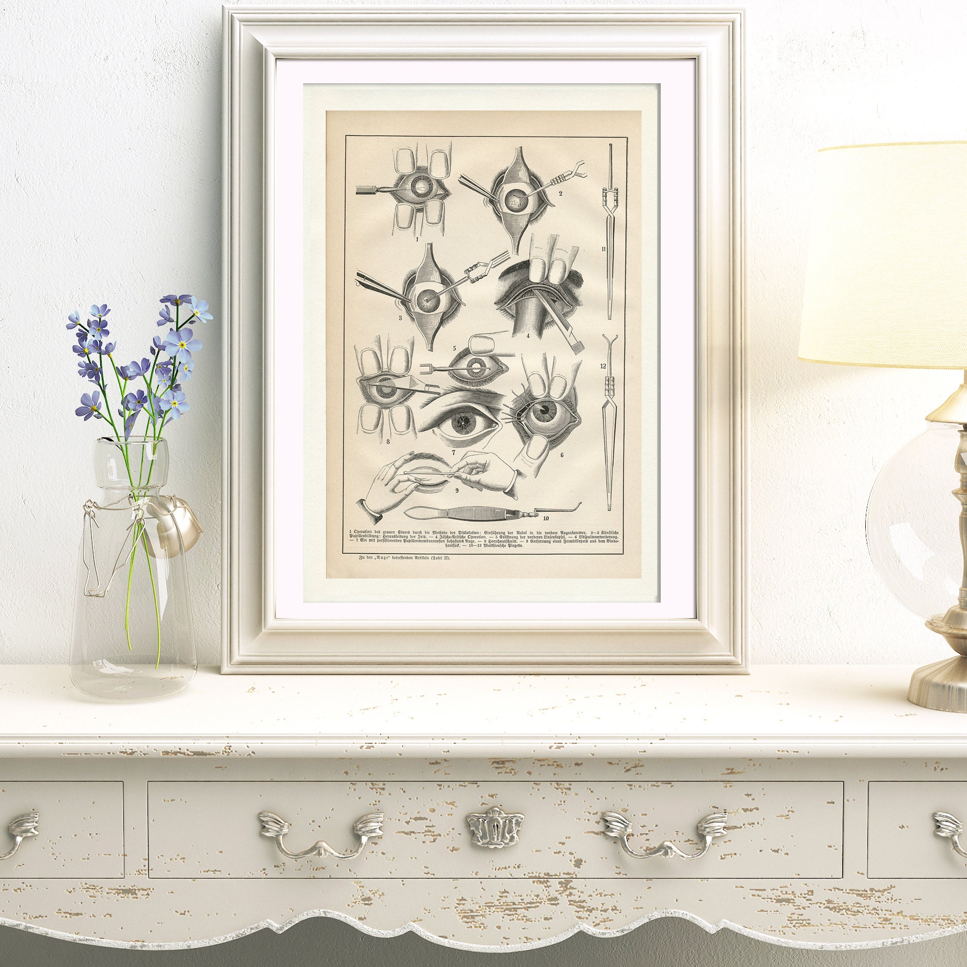 Eye Engraved Pattern 1890 Antique Eye Engraving for Black and White Anatomy Wall Decor ...