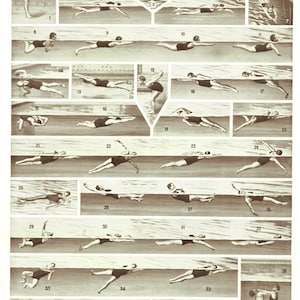 1936 Vintage swimming poster diving poster vintage Swimming art Swimming decor Sports gift Swimming gift Diving art Diving deocr Diving gift