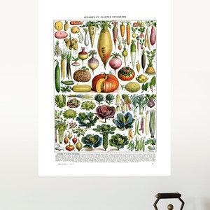 16x20" Vegetables botanical art for kitchen decor. Giclee vintage food wall art print. Rustic veggie art. Cottage decor, Vegan gift ideas