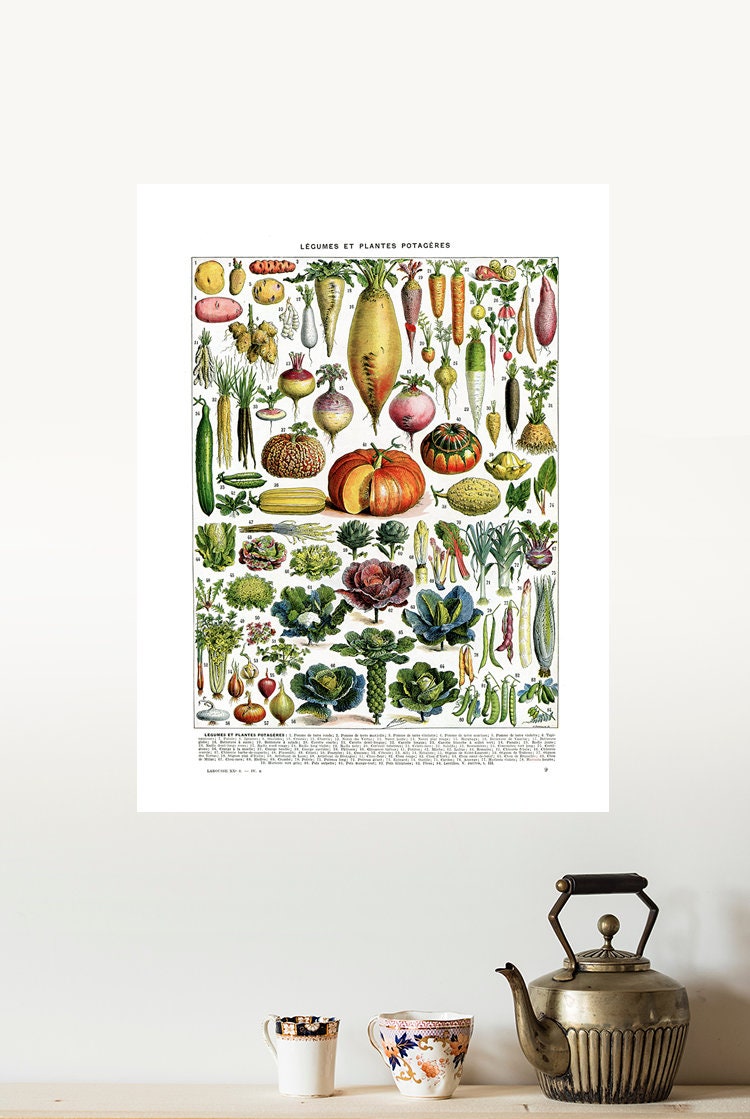 16x20 Affiche de Légumes Vintage 40x50cm