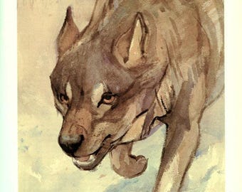 Wolf art print, 1975 Vintage Wolf wall art, Small wolf poster, Wolf gifts for wolf lover, Wolf wall art, Wolf decor, Wolf watercolor