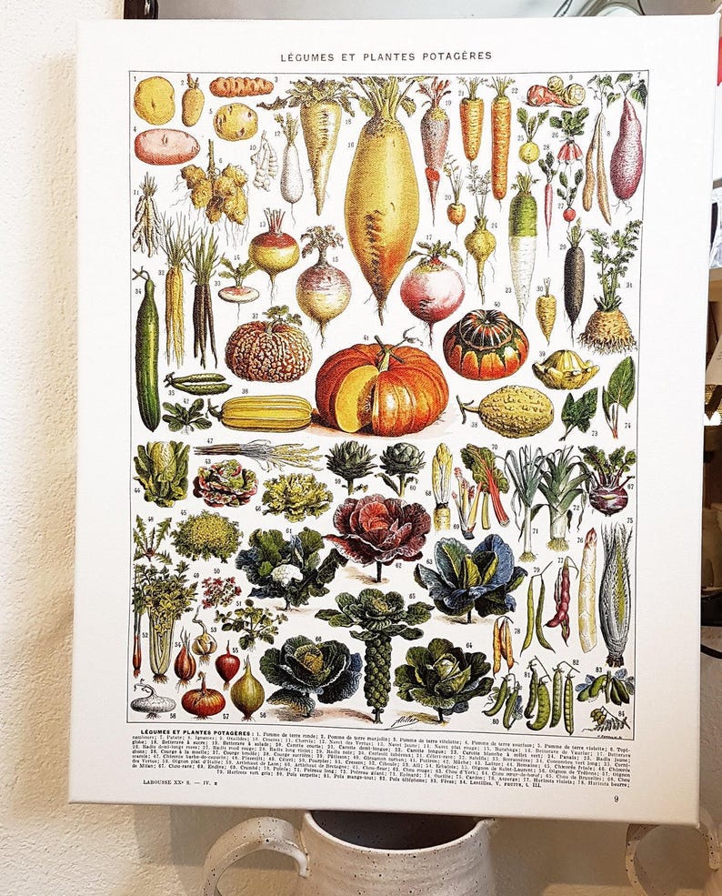 16x20" stretched Canvas vegetables botanical wall art print for kitchen decor for modern rustic farmhouse decor. Food Veggie gardener gift image 5