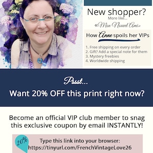 The image is a promotional poster for a French Vintage Love store, featuring a smiling woman with flowers in her hair and a colorful background.