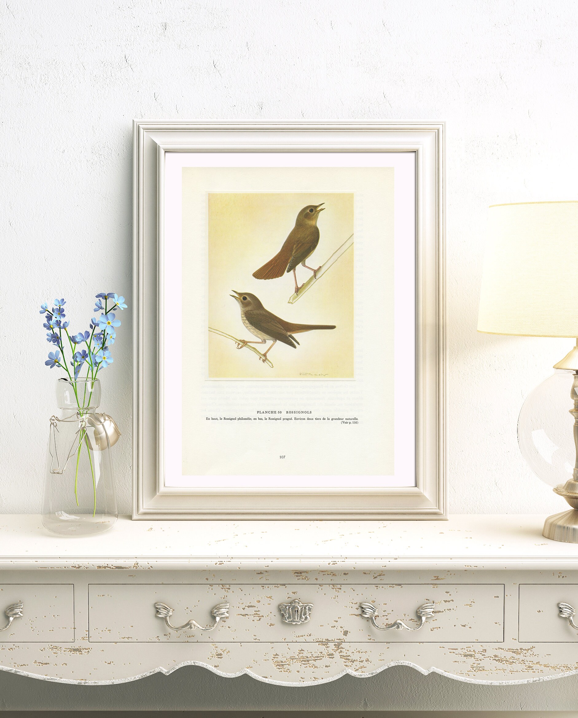 Petite Affiche de Rossignols Vintage 1961 Progné & Philomèle. Illustration d'oiseaux Rétro Image Dec
