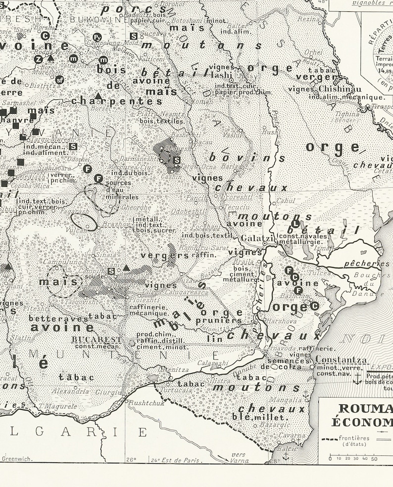 Vintage Romania map from 1936. Vintage Romanian gift wall decor. Language teacher gift. Office decor. Old maps. Small antique geography image 7