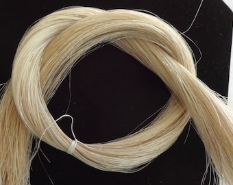 24", 1 oz. Horse Hair,  Blond, Real Horsehair,