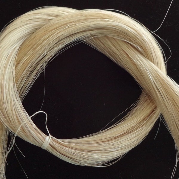 24", 1 oz. Horse Hair,  Blond, Real Horsehair,