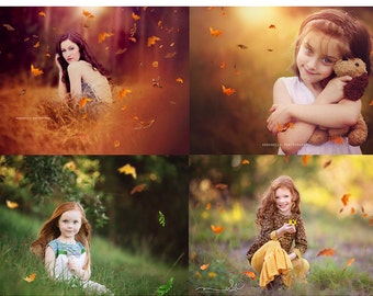 Falling Leaves Photo Overlays for Photographers PNG files, Leaf Overlays, Falling Leaves, Photoshop Leaf Overlays, Real Leaf Overlays