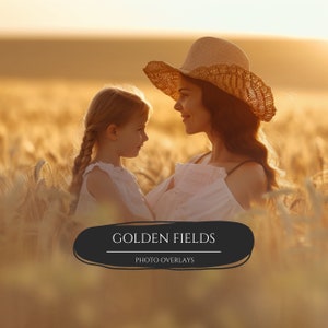 27 Golden Field Overlays, Golden Hour Overlays, Digital Backgrounds, Photoshop Overlays