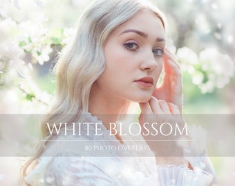 80 White Apple Blossom Photoshop Overlays for Composite Photography, Digital Backdrop Overlay, White Orchard Background