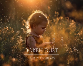 Gold Bokeh Dust Photo Overlays Photoshop Effect for Composite Photography, Floating Dust, Glitter Dust,  Bokeh backdrop