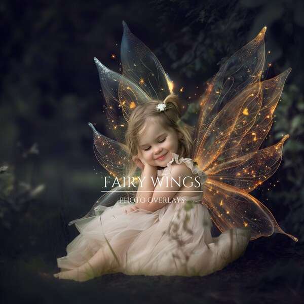 Fairy Wings Photo Overlays Photoshop Effect for Composite Photography, fairy dust, Butterfly wings, Maternity overlays