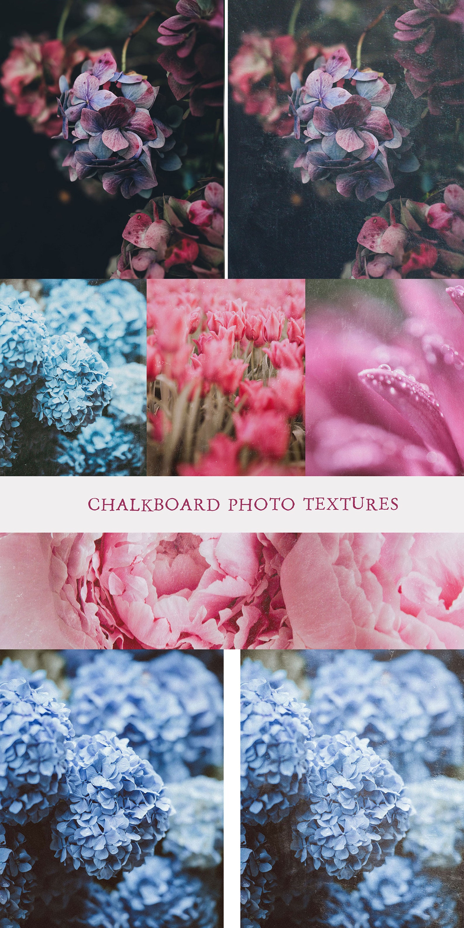 Chalkboard Textures Fine Art Textures Photo Overlays Photo Etsy