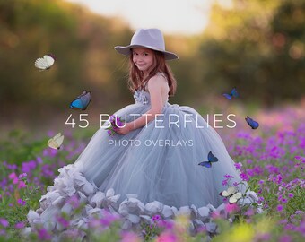 45 Butterfly Overlays, Photoshop Overlays, Colorful Butterflies, Summer Background