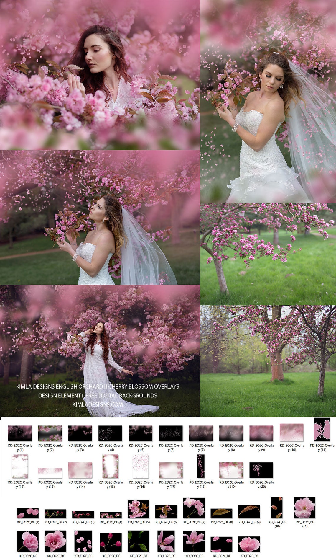 Cherry Blossom Overlays and Free Digital Backgrounds Etsy