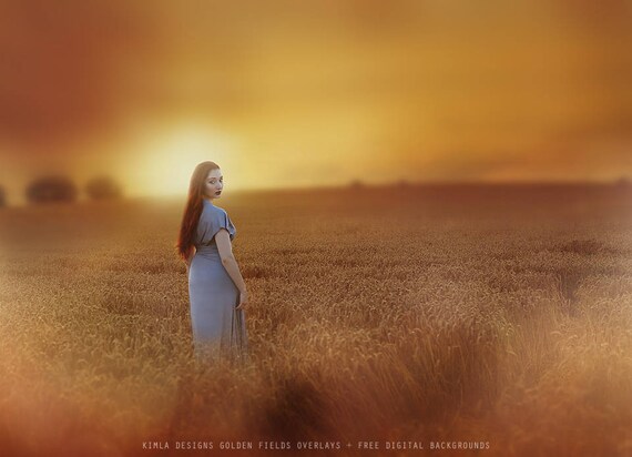 golden fields photo overlays and free digital backgrounds etsy digital backgrounds free