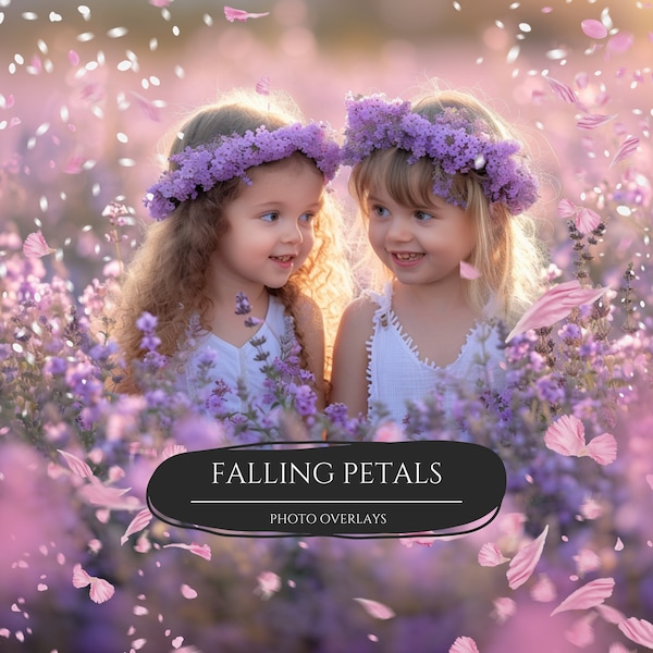 50 Falling Petals Photo Overlays, PNG Blossom Overlays for Composite Photography, Spring Photo Backdrop