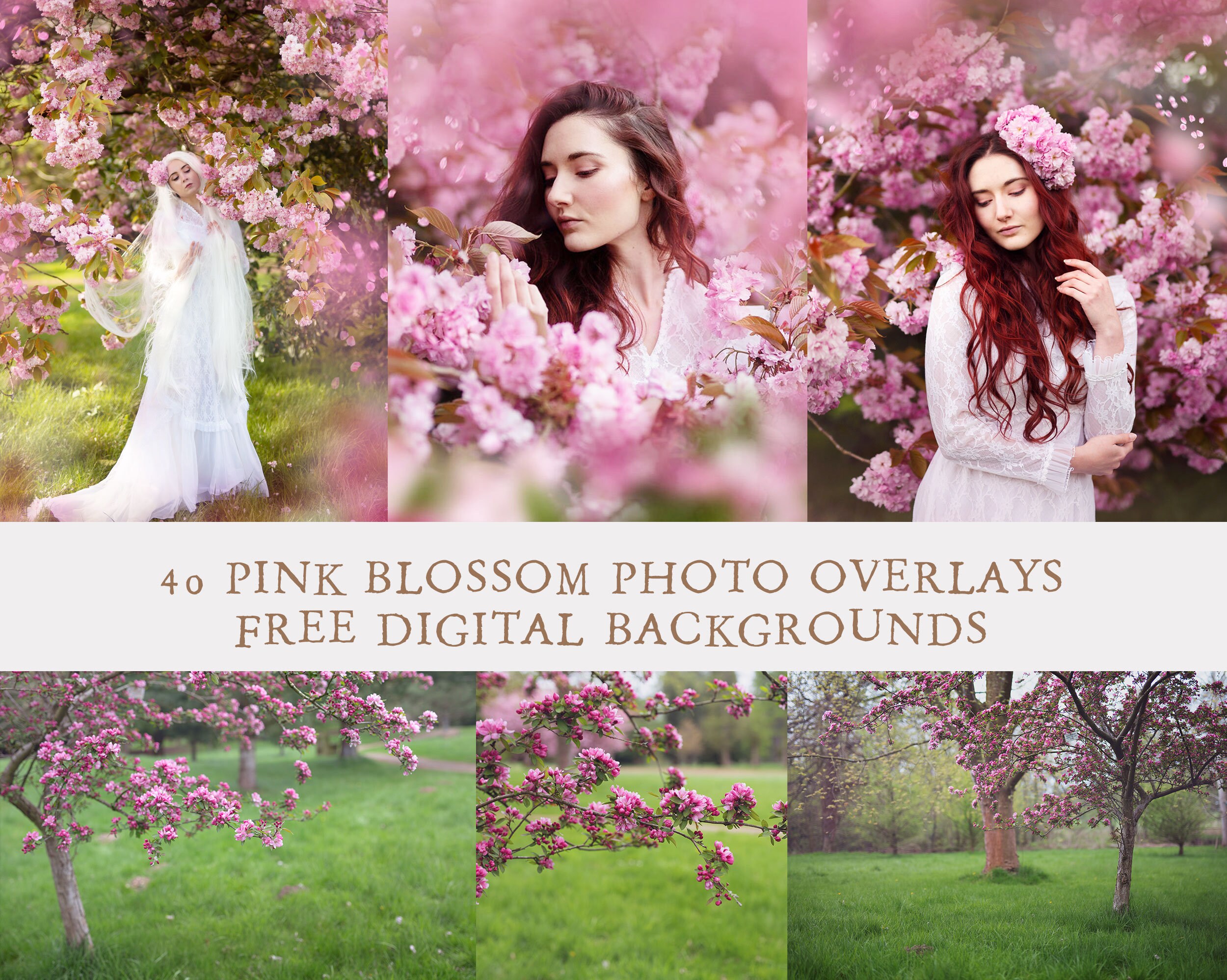Cherry Blossom Overlays and Free Digital Backgrounds Etsy UK