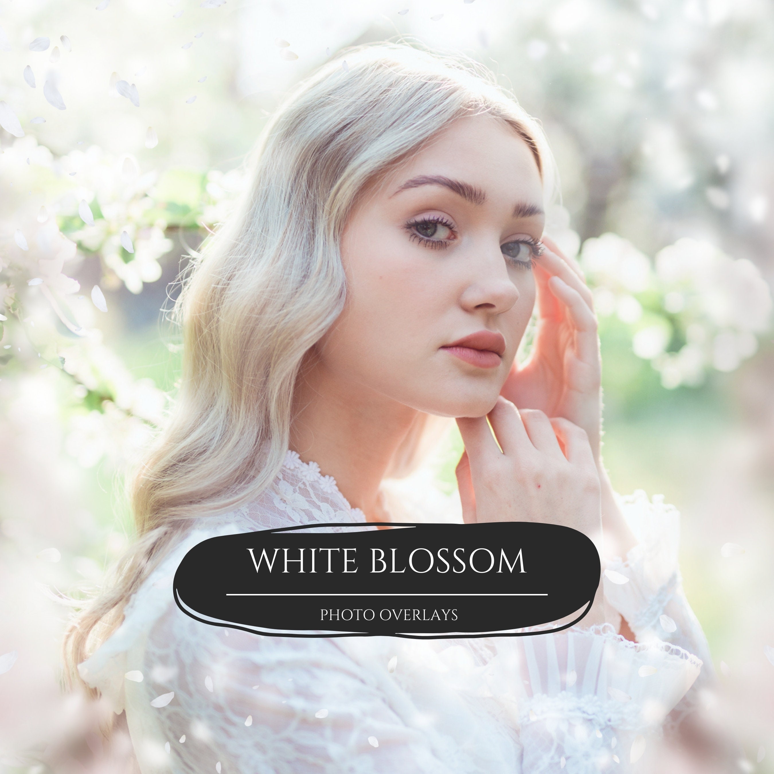80 White Apple Blossom Photoshop Overlays for Composite Photography, Digital Backdrop Overlay, White Orchard Background