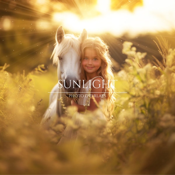 Sunlight Photo Overlays, Sunset Lights, Summer Overlays, Sunbeam Overlays, Digital Backdrops, Photoshop Overlays