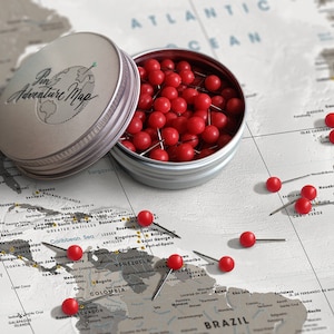 Rote Reise Landkarte Pins mit Etui - Reisekarte Pinnnadeln - Rote Pinnnadeln zur Reisemarkierung - Plastikstifte
