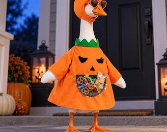 Halloween Porch Goose Outfit, 23 Inch Pumpkin Costume with Hat, Heart Glasses and Candy Pocket, Trick or Treat Yard Decor, Goose Clothes