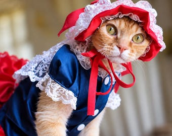Vestido rojo de encaje para mascotas, gorro de cuento de hadas, conjunto de manga abullonada.