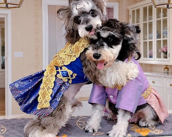 Abito da sposa thailandese per cani, costume tradizionale per animali domestici con fascia dorata, perfetto per servizi fotografici in occasione di festival.