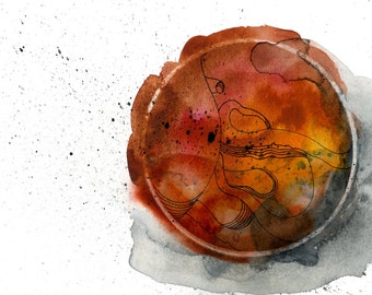 Octopus Painting - Embryonic Octopus - Fine Art Print of 6"x4" Watercolor Painting