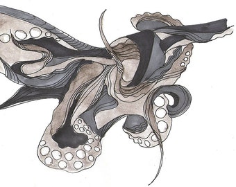 Octopus Drawing - No Accelerometer for This Octopus - Fine Art Print of 6"x4" Drawing - Squid Ink