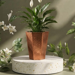Pode incluir: Um vaso hexagonal de cor cobre com textura martelada. O vaso contém uma planta lírio-da-paz com várias flores brancas e folhas verde-escuras. O recipiente tem um formato cônico e um acabamento metálico.