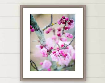 Pink cherry blossoms photograph pink flower photo spring flora images oversized large wall art botanical wall decor Mother's day gift