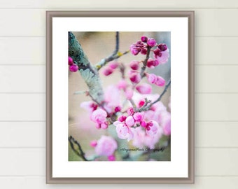 Pink cherry blossoms photograph pink flower photo spring flora images oversized large wall art botanical wall decor Mother's day gift