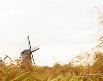 Holland Windmill photo, Amsterdam, Kinderdijk, golden meadow fields, Netherlands, Autumn, Fall, Serenity-prairie, wall decor, Christmas gift