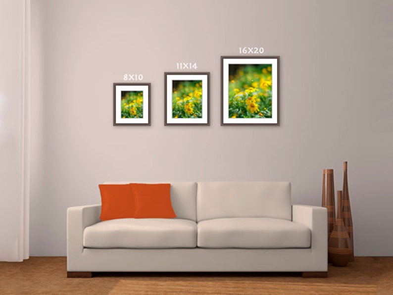 Yellow Daisy photo yellow flower print summer blossoms photo botanical wall art oversized large wall art wildflowers back to school gift image 3