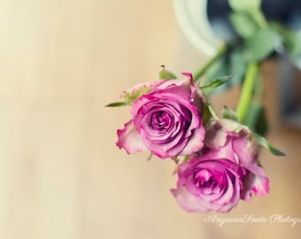 Purple Rose photo Two roses photo Lavender Spring Cottage Chic Flora still life Rustic 8x12 for her Christmas gift romantic