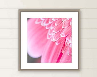 Pink flower photograph, Gerbera Daisy, Macro photography, dreamy, pastel, nature, botanical wall art, flower, floral, shabby chic, for her