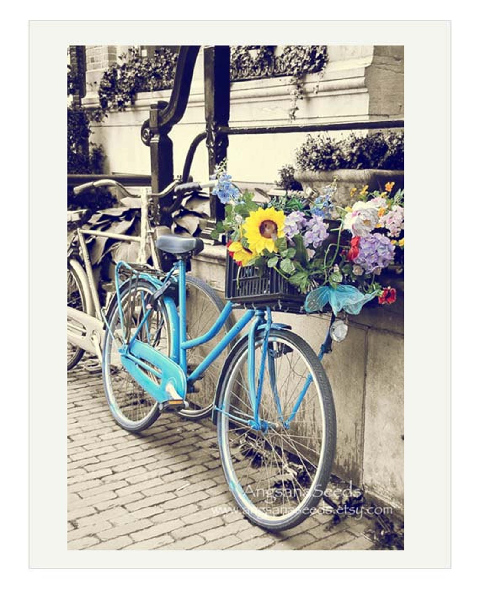 Blue Bicycle Basket Photo Amsterdam Travel Photo Soft Pastel Vintage Country Chic 8x12 Picture