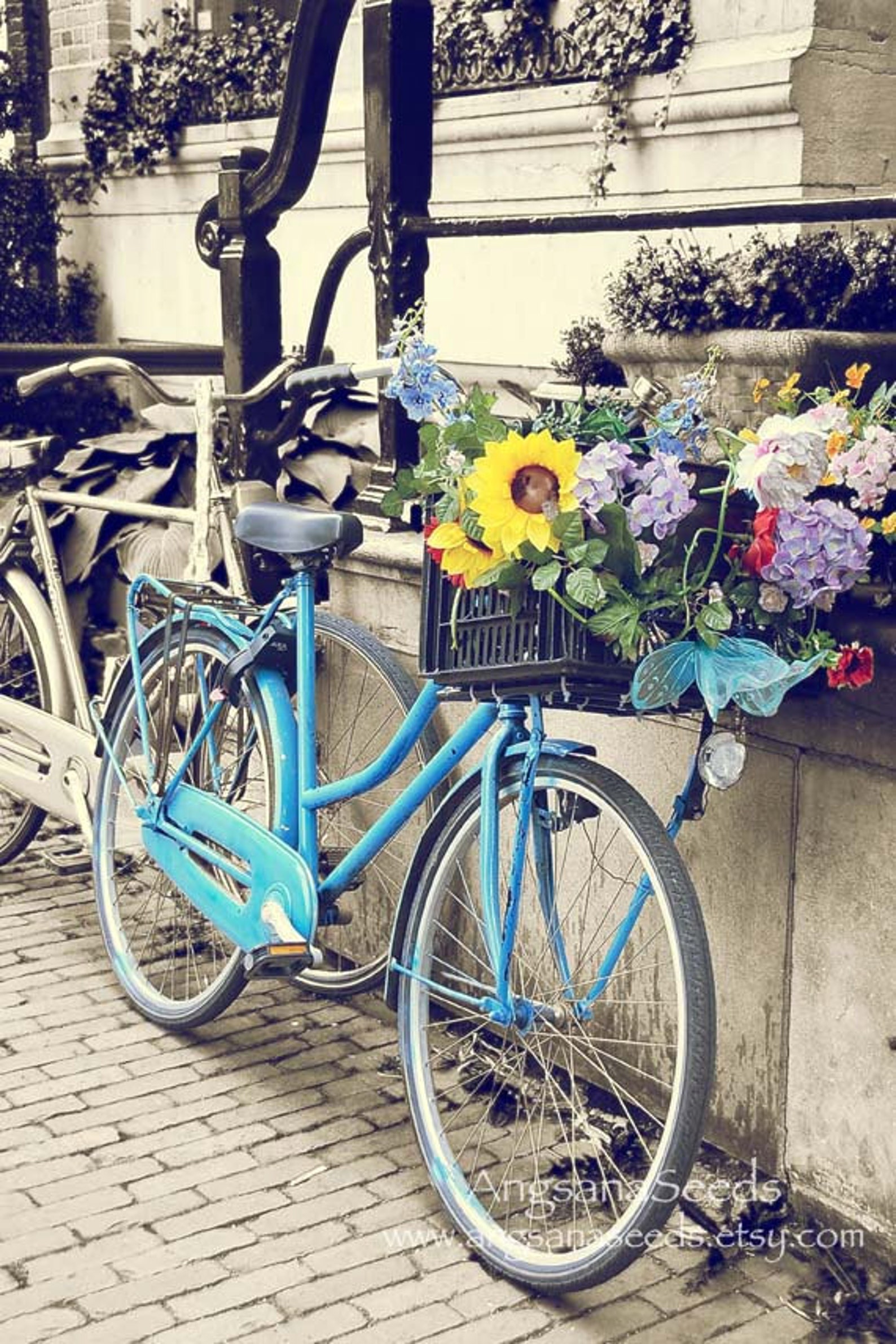 Blue Bicycle Basket Photo Amsterdam Travel Photo Soft Pastel Vintage