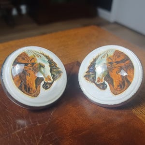 May include: Two round cabinet knobs with a white base and a glossy, domed center featuring a detailed illustration of three horse heads in shades of brown, white, and black. The knobs have a smooth, circular profile and a polished finish.