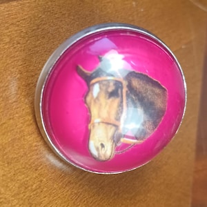 May include: A circular button featuring a vibrant hot pink background with a centered illustration of a brown horse head wearing a bridle. The button has a smooth, glossy, domed surface and a polished silver-toned metal rim around the edge.