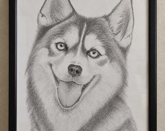 Dibujo original de un husky a grafito – Retrato de perro enmarcado – Arte a lápiz hecho a mano