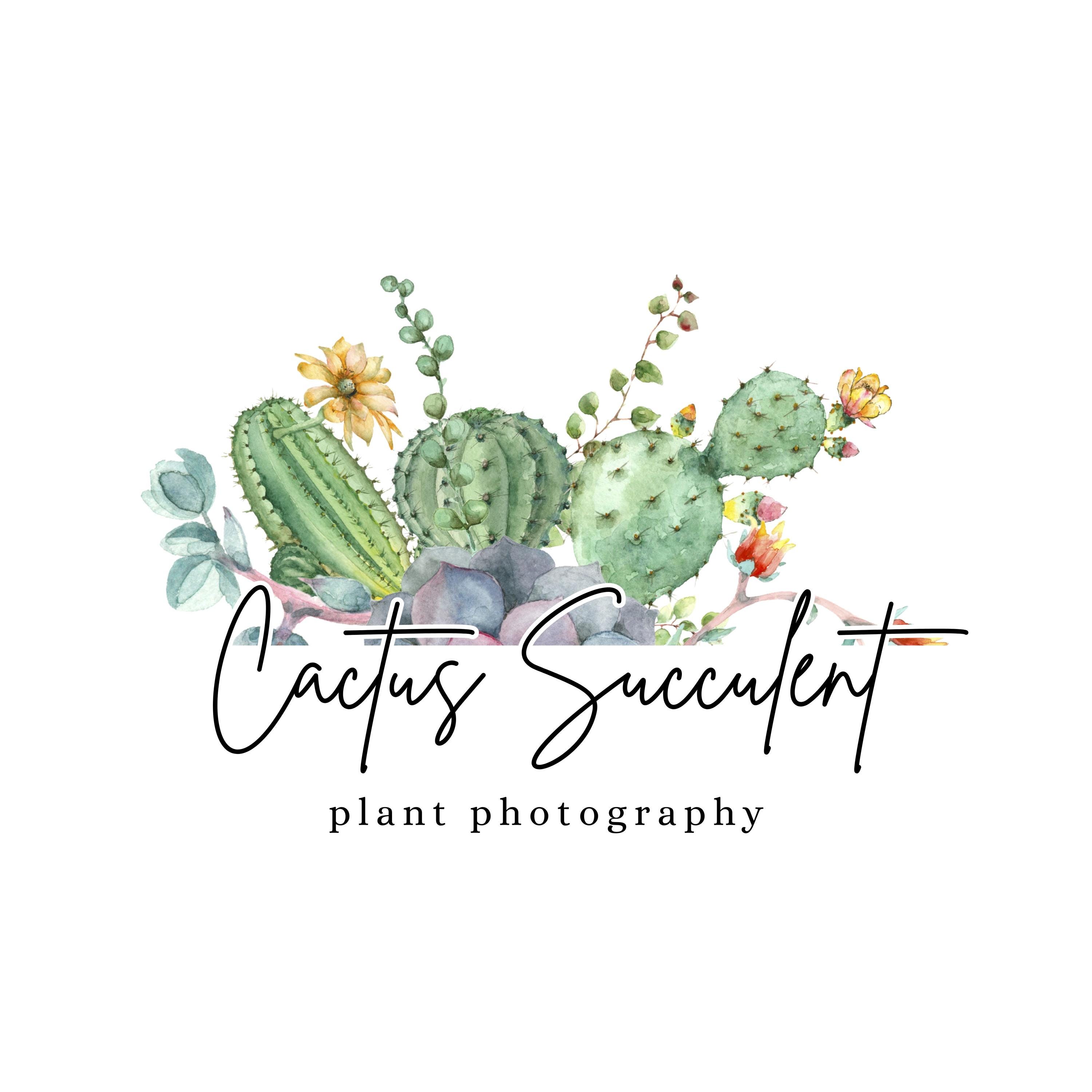 cactus and succulent logo Editable Canva DIY Logo Cactus Succulent Logo Stars Shopify Home Decor  Organic Boho Hippie Plant Simple Minimalistic Yoga Clothing Boutique